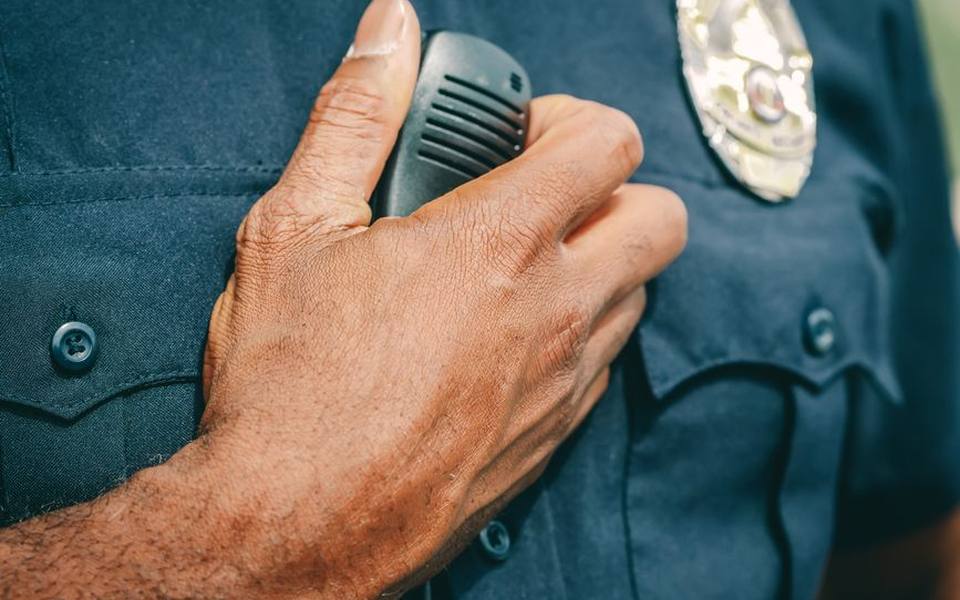 The Federal Layer and FBI Identity History Summaries