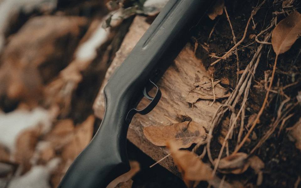 Precision Marksmanship with Air Rifles
